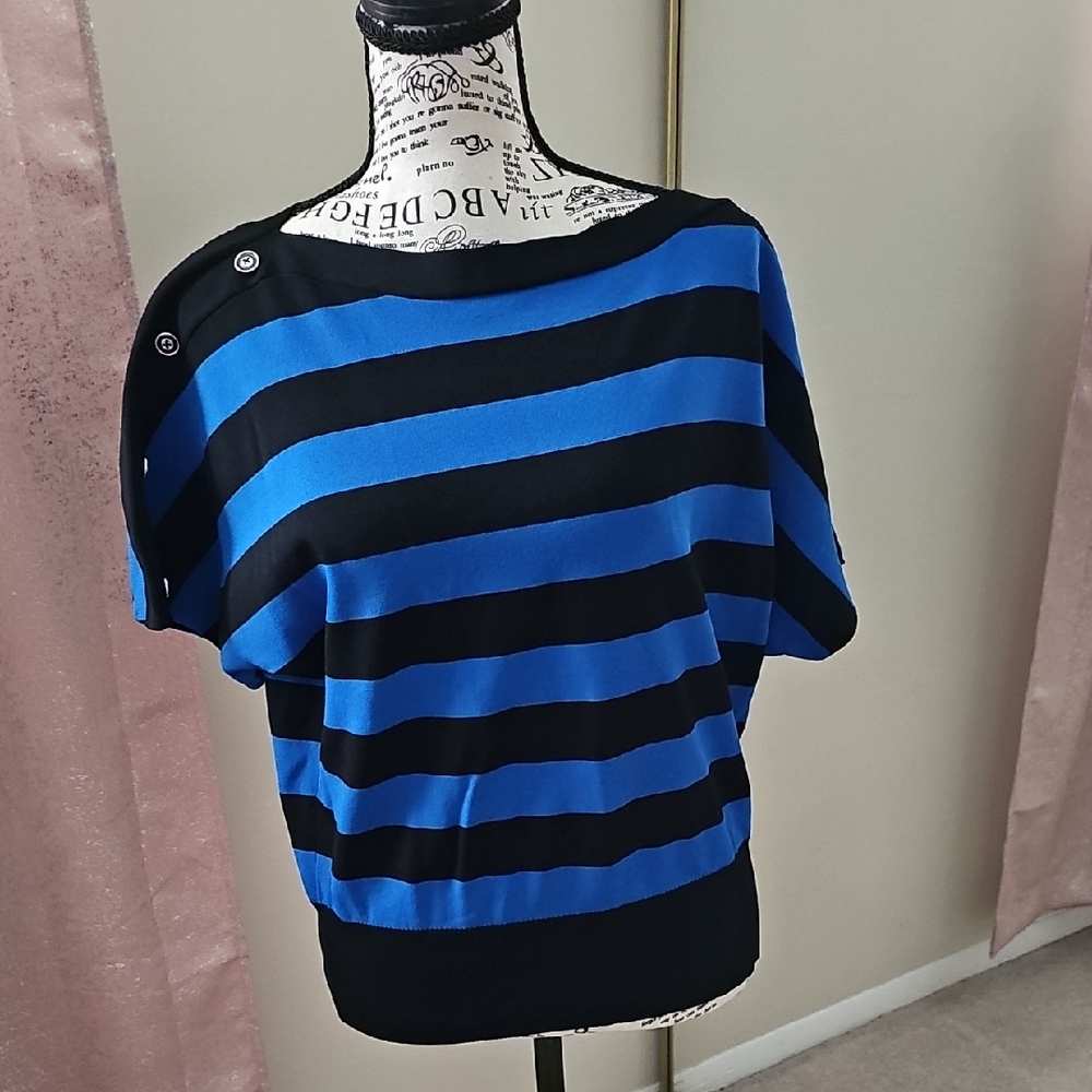 Blue and Black Striped Crop Top